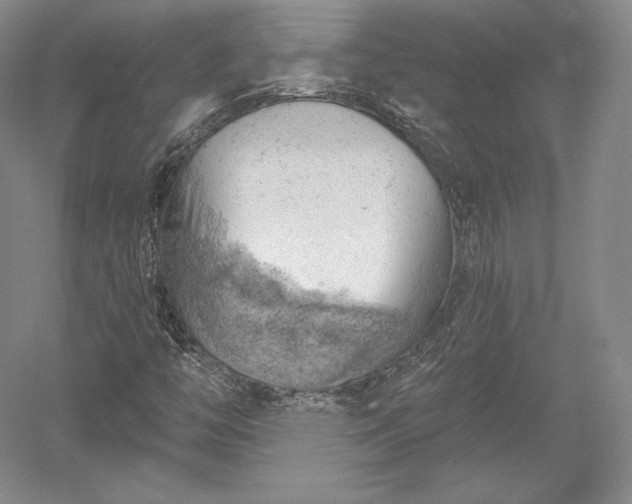 X0000052641446200507081953