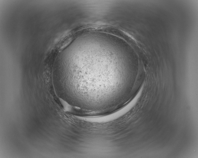 X0000052641447200507081953