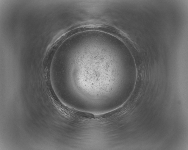 X0000052641448200507081953