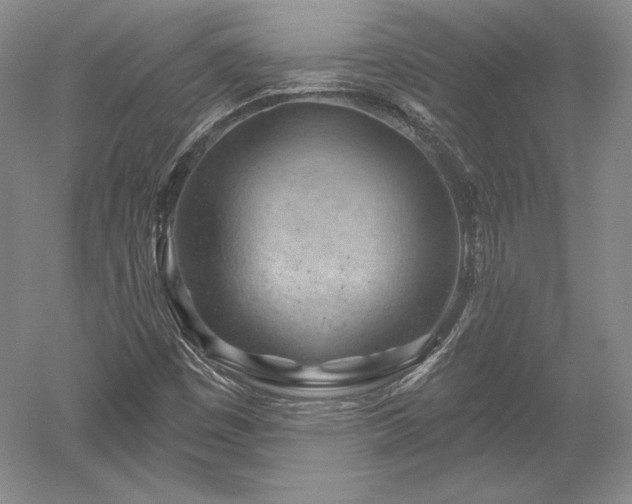 X0000052641449200507081953