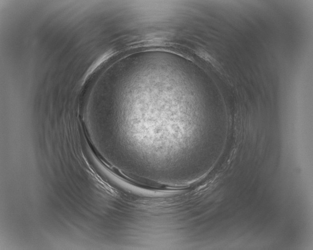 X0000052641450200507081953