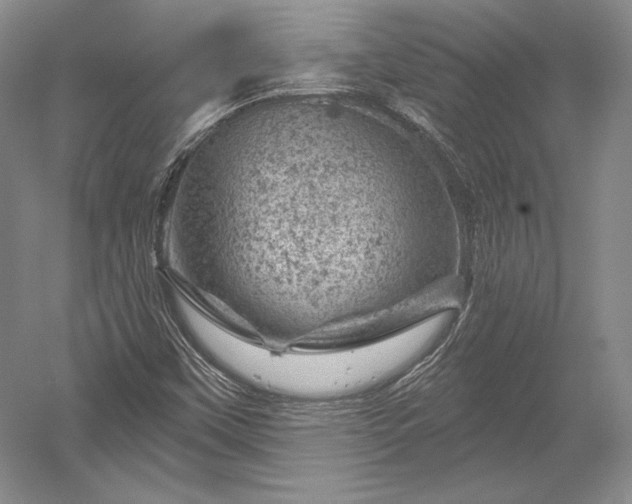 X0000052641451200507081953