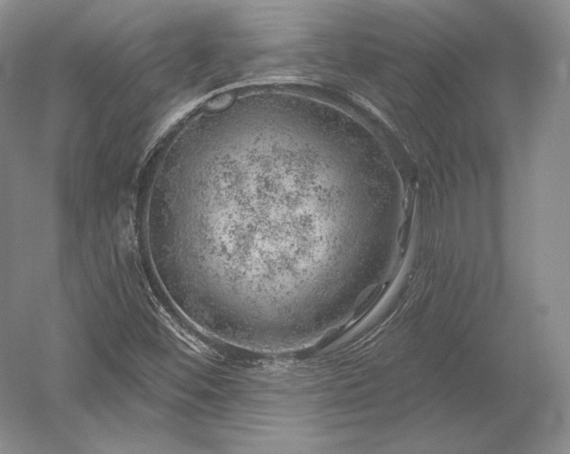 X0000052641452200507081953