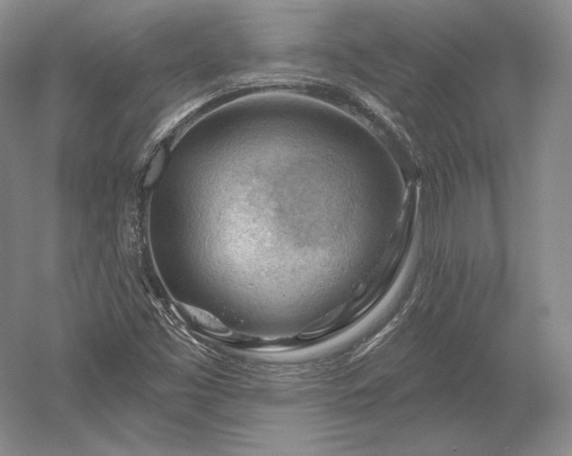 X0000052641453200507081953