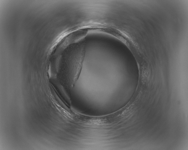 X0000052641455200507081953