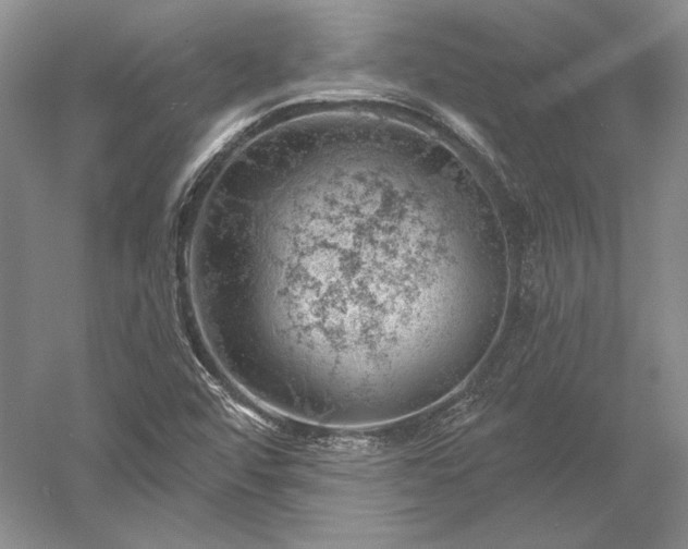 X0000052641456200507081953