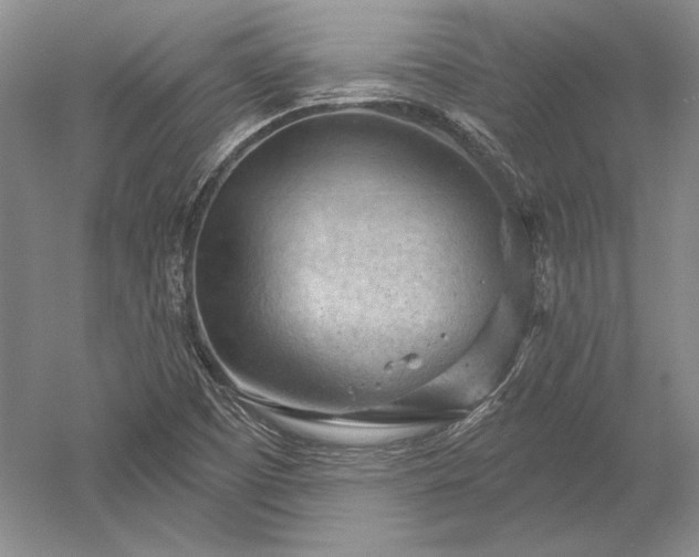 X0000052641457200507081953