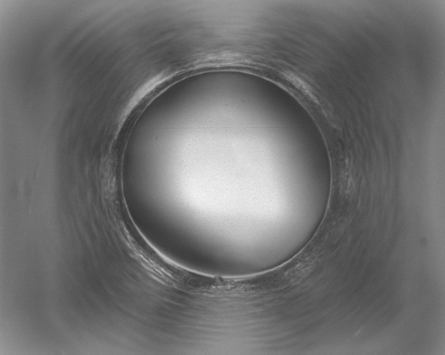 X0000052641458200507081953