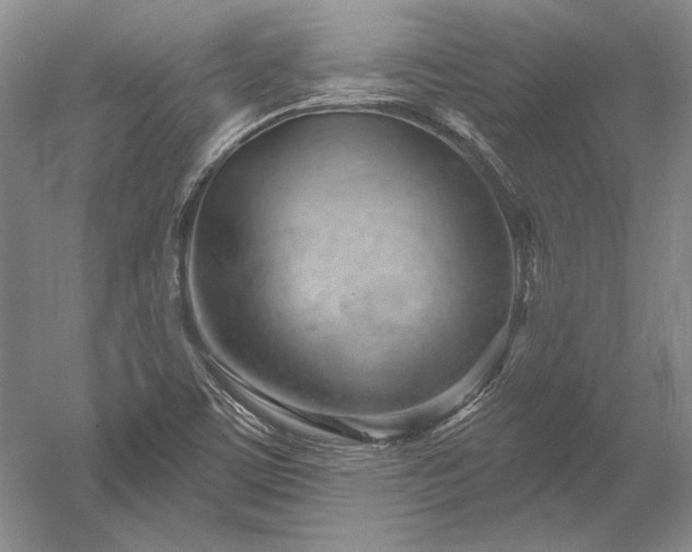 X0000052641459200507081953