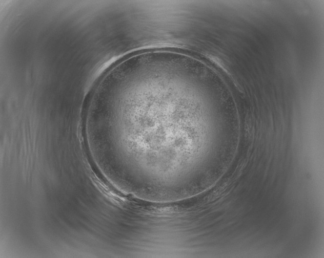 X0000052641460200507081953