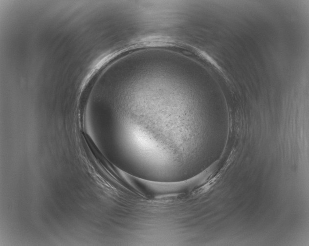 X0000052641461200507081953