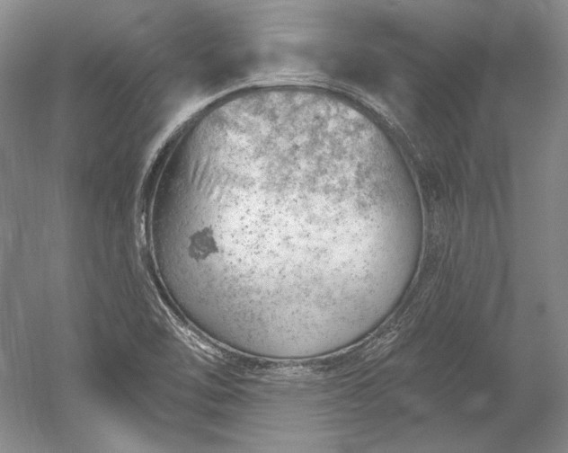 X0000052641462200507081953