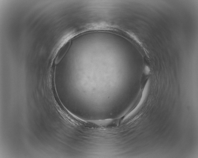 X0000052641463200507081953