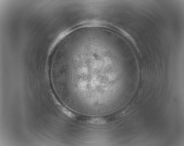 X0000052641464200507081953