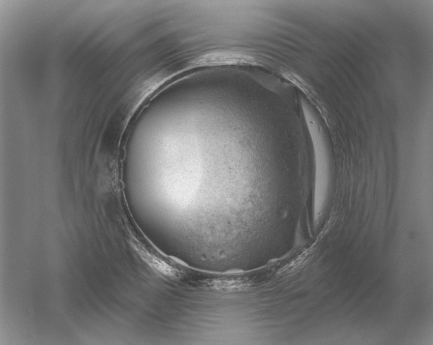 X0000052641465200507081953