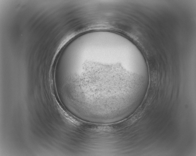 X0000052641466200507081953