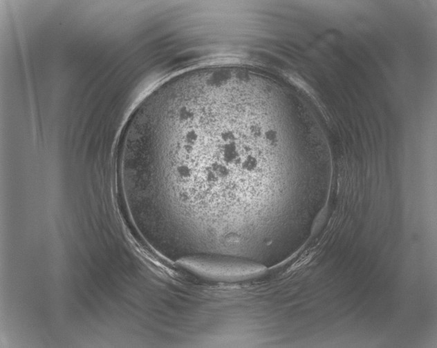 X0000052641467200507081953