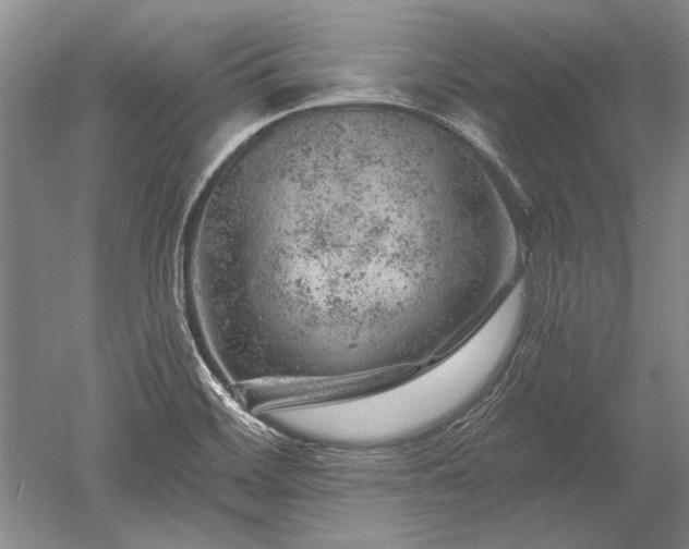 X0000052641468200507081953