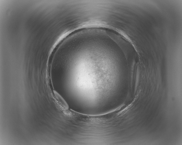 X0000052641469200507081953