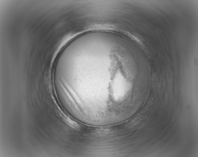 X0000052641470200507081953