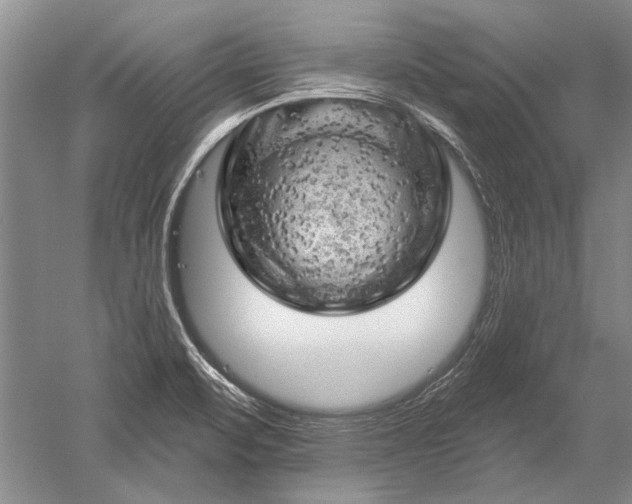 X0000052641471200507081953