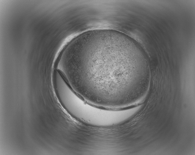 X0000052641472200507081953