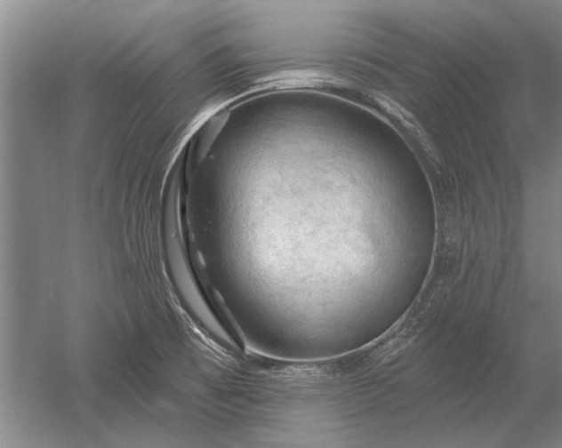 X0000052641473200507081953