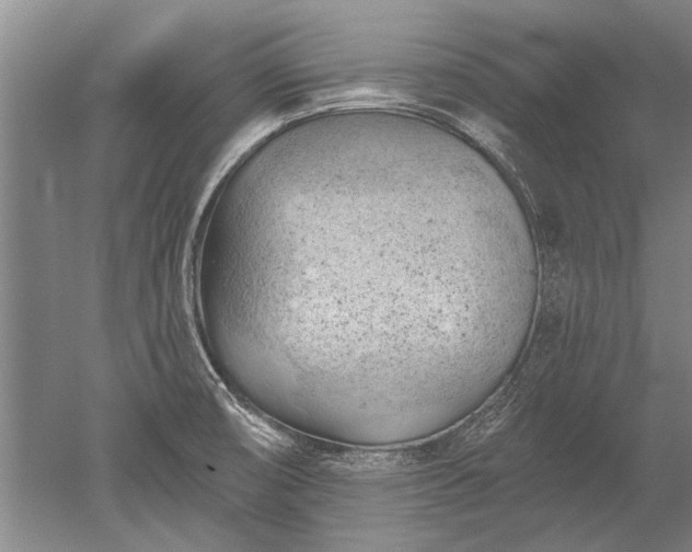 X0000052641474200507081952