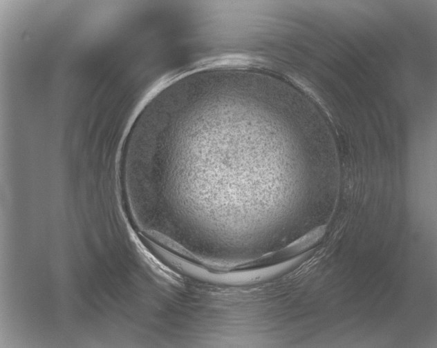 X0000052641475200507081952