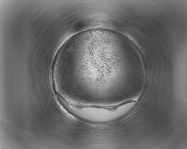 X0000052641476200507081952