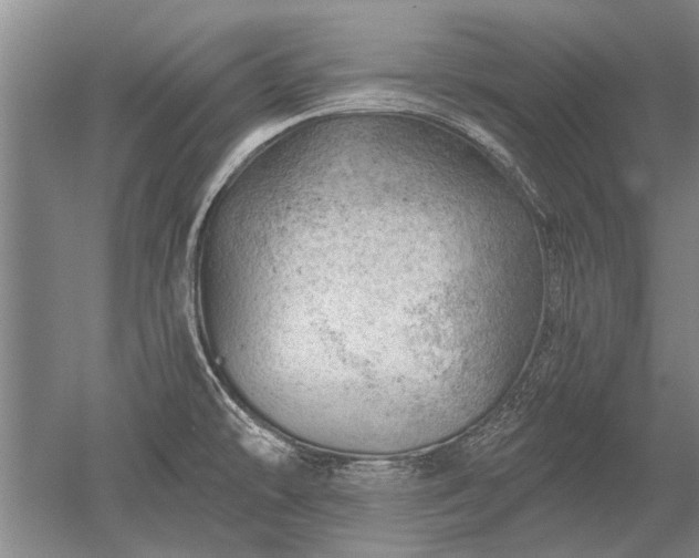 X0000052641478200507081952