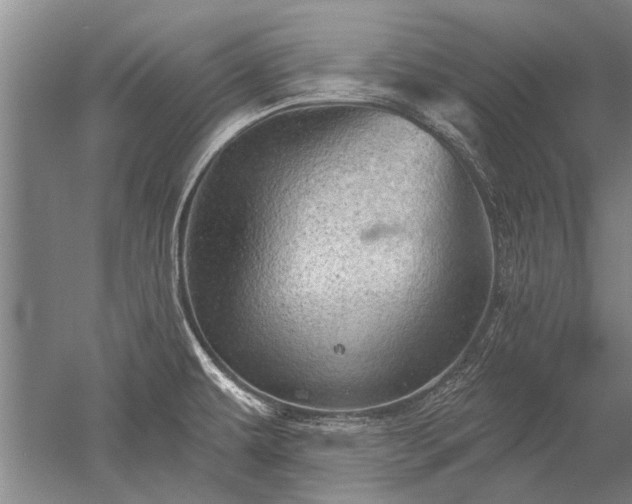 X0000052641479200507081952