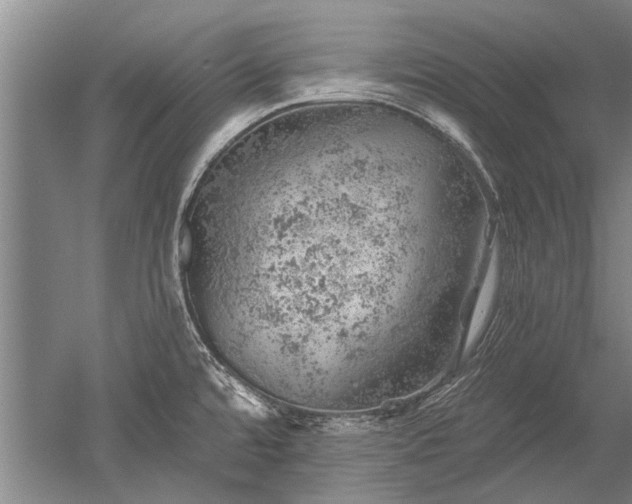 X0000052641480200507081952