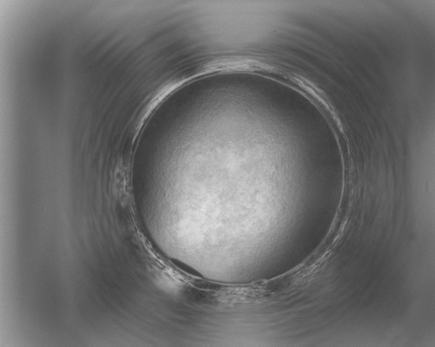 X0000052641481200507081952