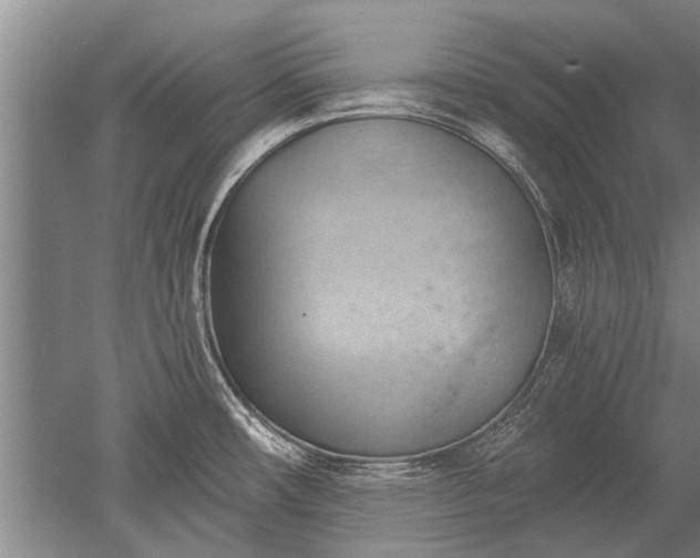 X0000052641482200507081952