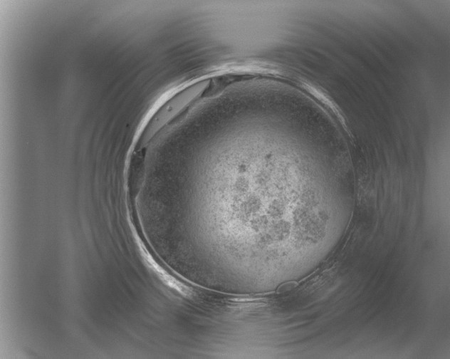 X0000052641483200507081952