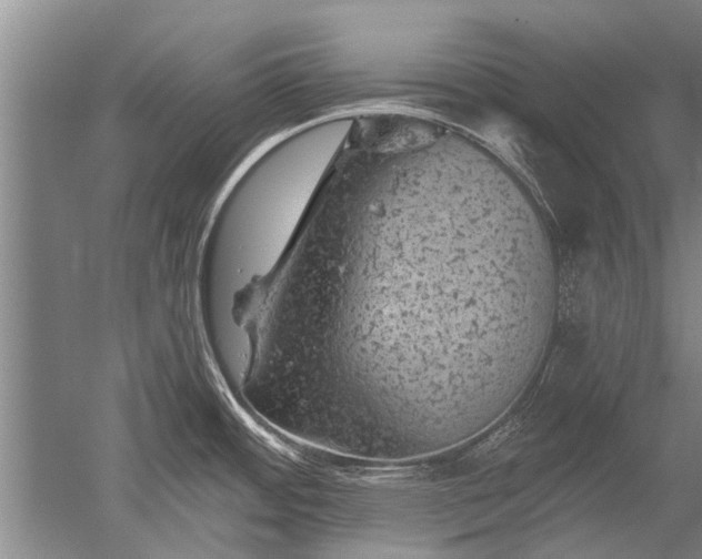 X0000052641484200507081952