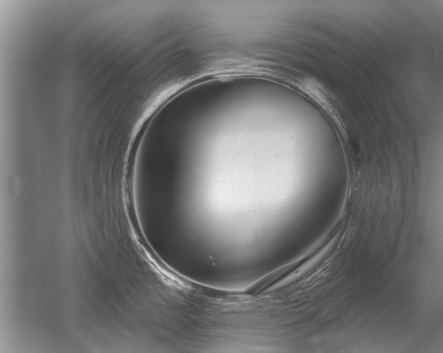 X0000052641485200507081952