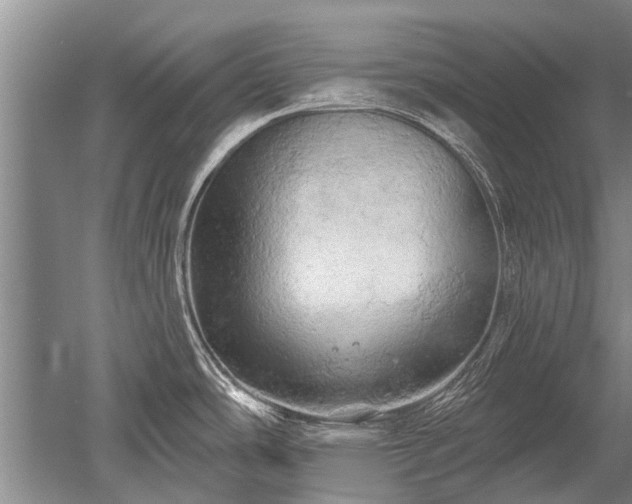 X0000052641486200507081952