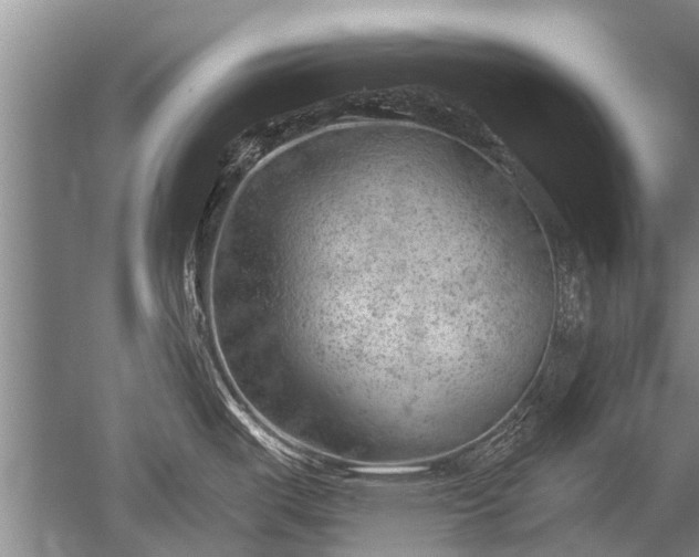 X0000052641487200507081952