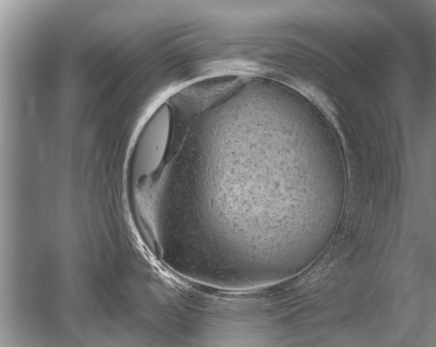 X0000052641488200507081952