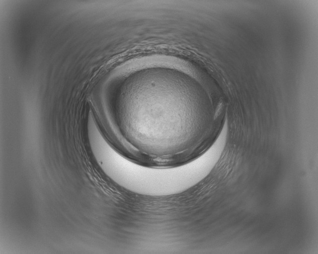 X0000052641489200507081951