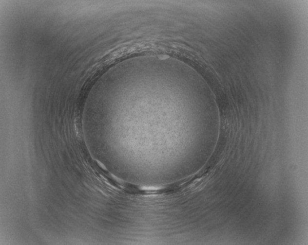 X0000052641490200507081951