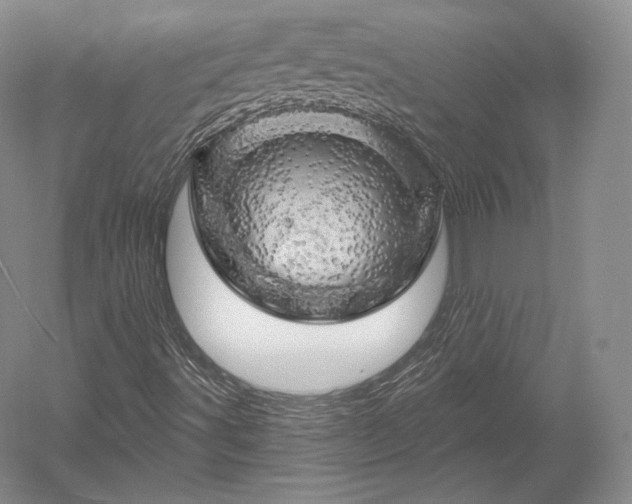 X0000052641491200507081951