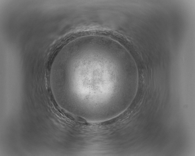 X0000052641493200507081952