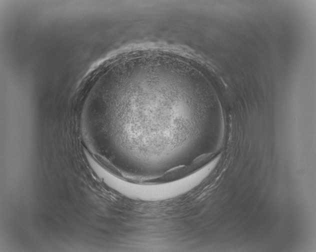 X0000052641494200507081952