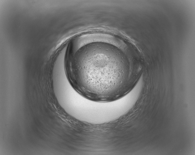 X0000052641496200507081952