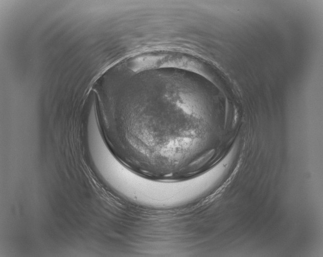 X0000052641497200507081952