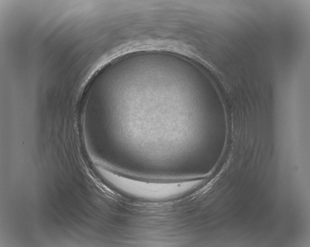 X0000052641498200507081952