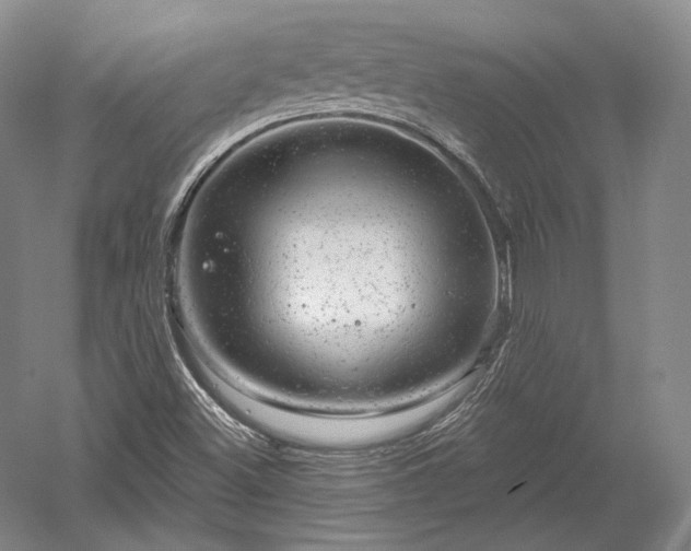 X0000052641500200507081952